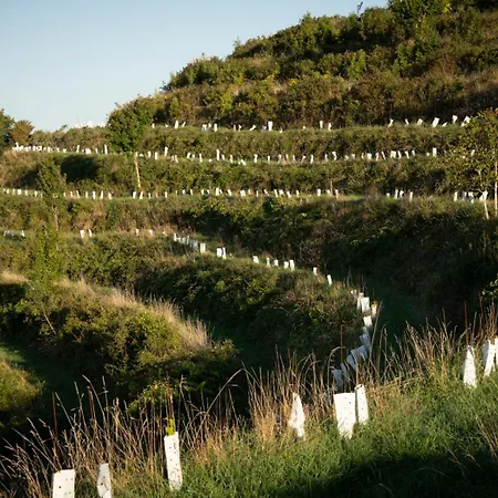 Apartamento Panoramablick 360 Grad In Den Weinbergen Trzec