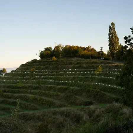 Апартаменты Panoramablick 360 Grad In Den Weinbergen Trzec