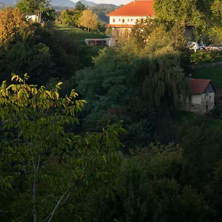 Panoramablick 360 Grad In Den Weinbergen Trzec