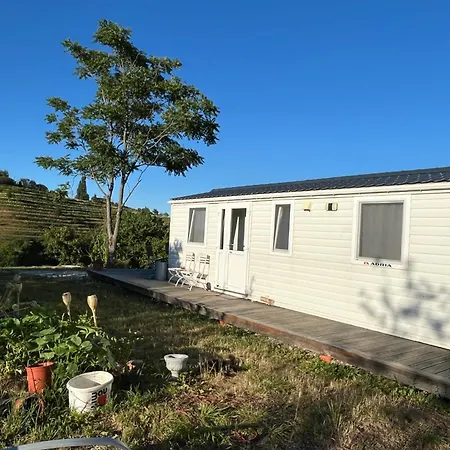 Panoramablick 360 Grad In Den Weinbergen Apartamento Trzec