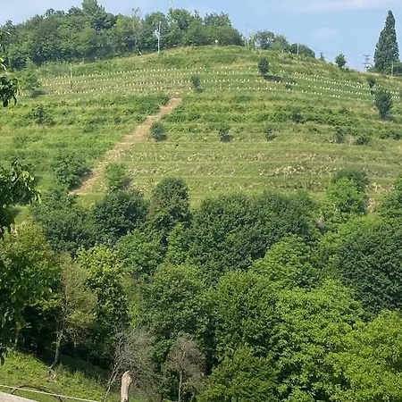 Panoramablick 360 Grad In Den Weinbergen *