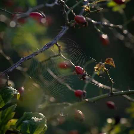 Panoramablick 360 Grad In Den Weinbergen *
