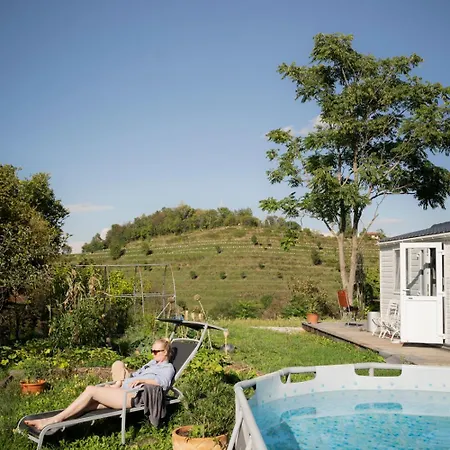 Panoramablick 360 Grad In Den Weinbergen *