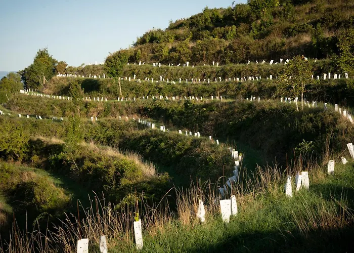 شقة Panoramablick 360 Grad In Den Weinbergen Trzec