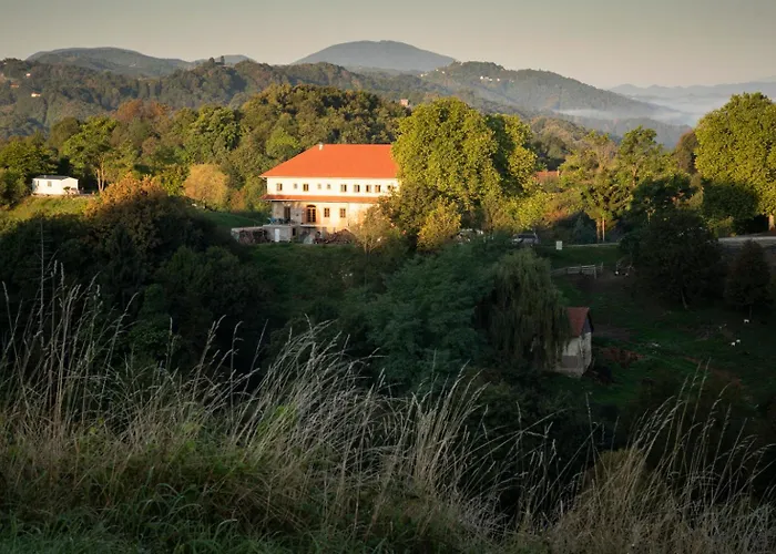 Panoramablick 360 Grad In Den Weinbergen * Trzec