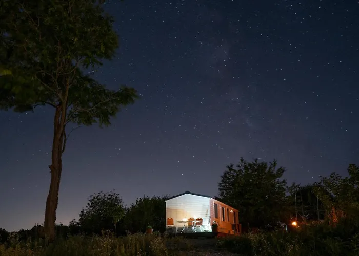 Panoramablick 360 Grad In Den Weinbergen *