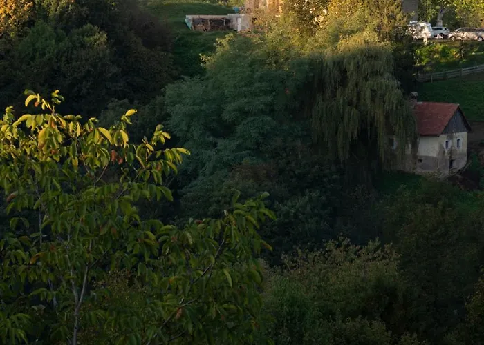 Panoramablick 360 Grad In Den Weinbergen Trzec