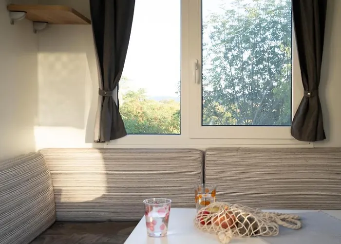 Panoramablick 360 Grad In Den Weinbergen *