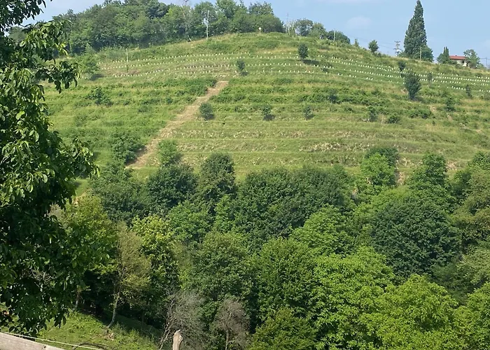 Panoramablick 360 Grad In Den Weinbergen *