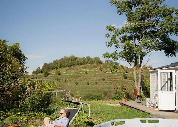 Panoramablick 360 Grad In Den Weinbergen *